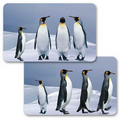 3D Lenticular Gift Card w/ Animated Penguins Images (Blank)